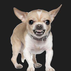 iobagg avatar