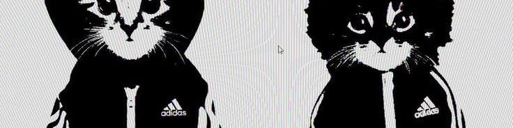 Faceit banner for @discomfort