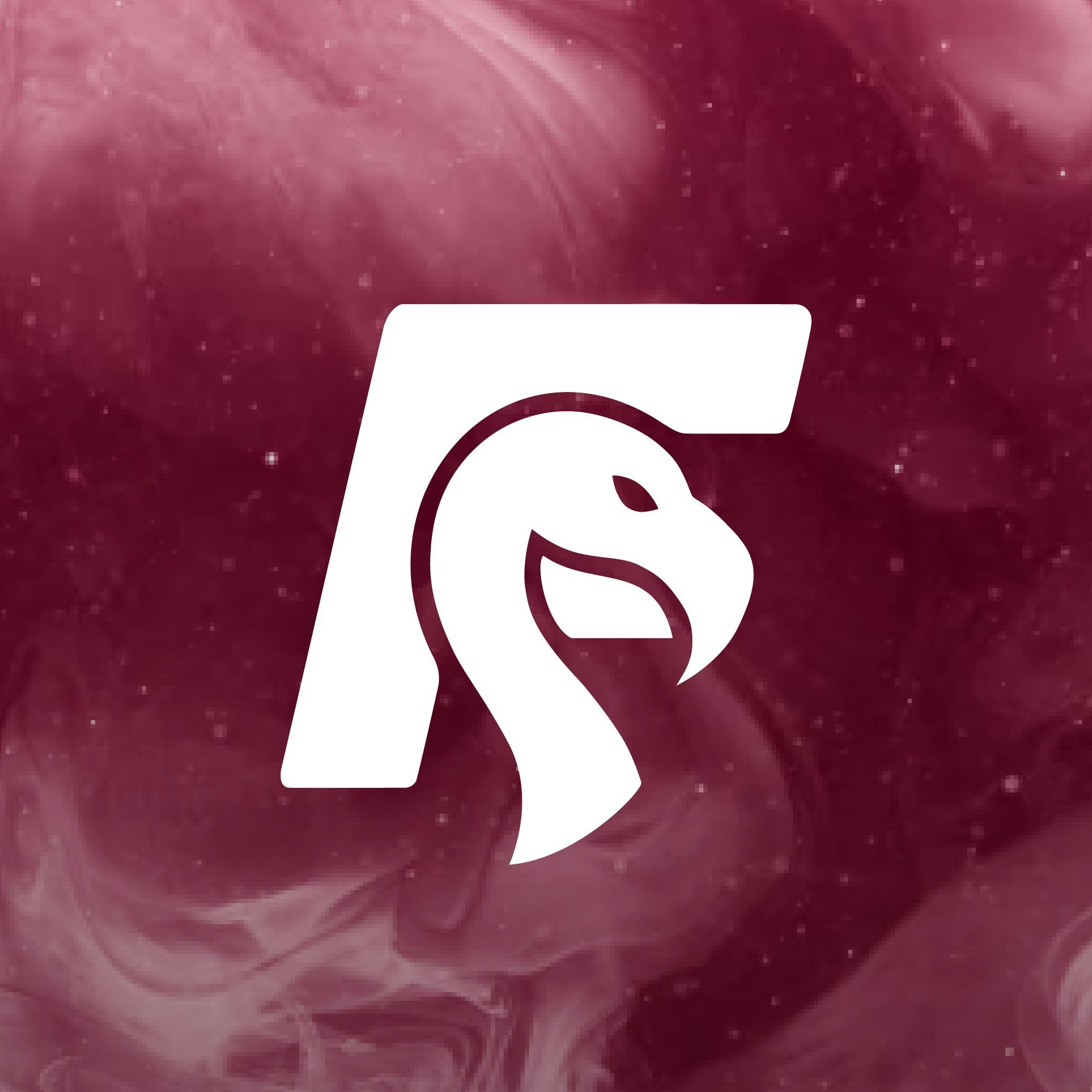 team_Loky06
