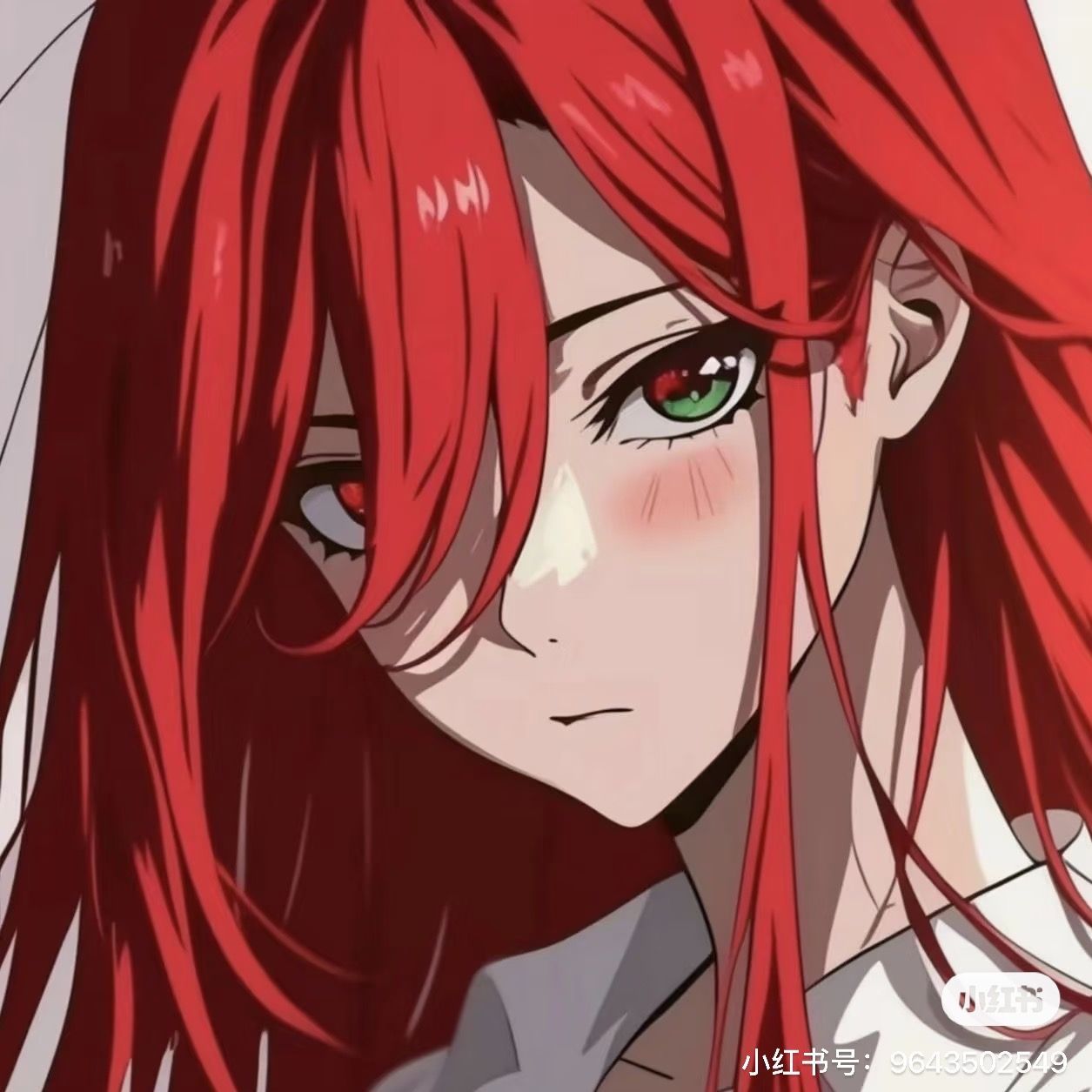 kikyo_o