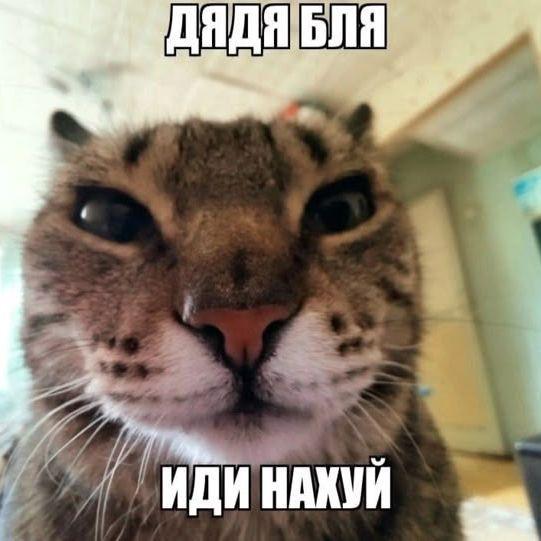 UDU_HAXYI_PJ avatar
