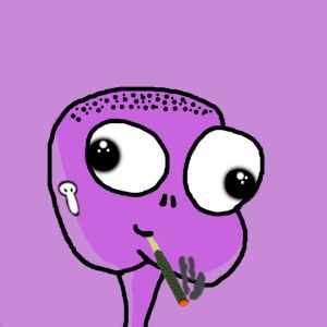 Kr3jZolO
