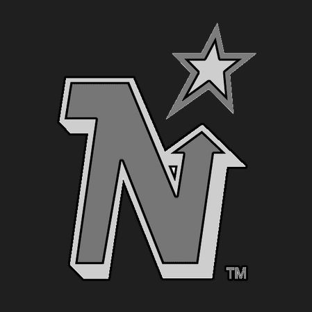 Team Nitro