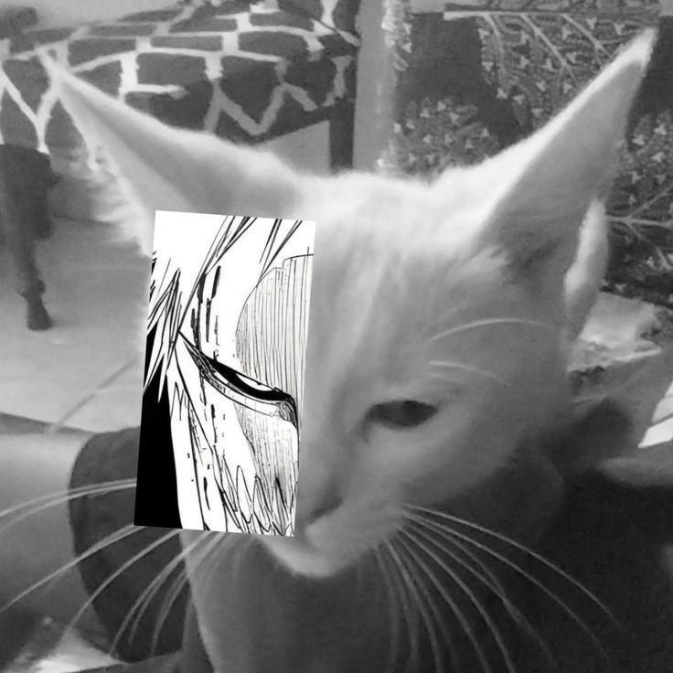 KABUUUUUUUUM avatar