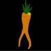 carrotking69 avatar