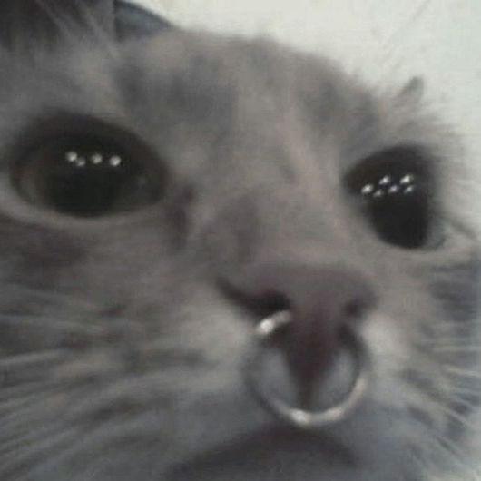 ry0dze avatar