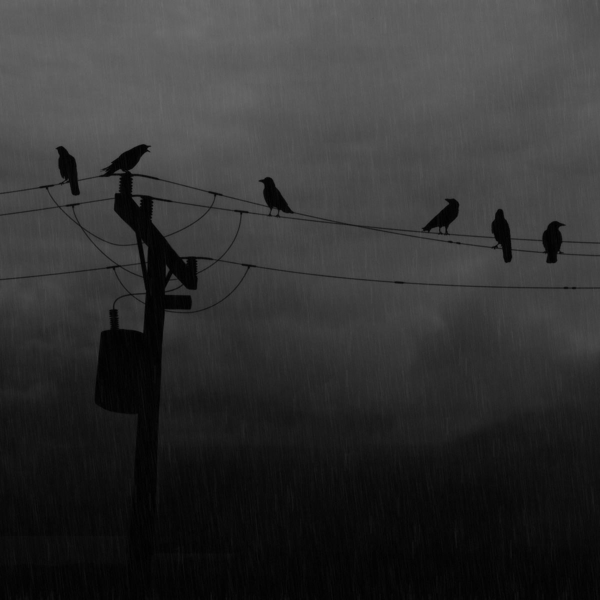 _DunGalaXX_