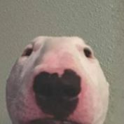 dAnStR1k0