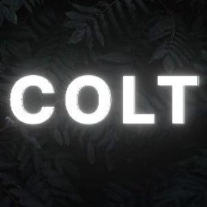 Player _COLT__FOX_ avatar