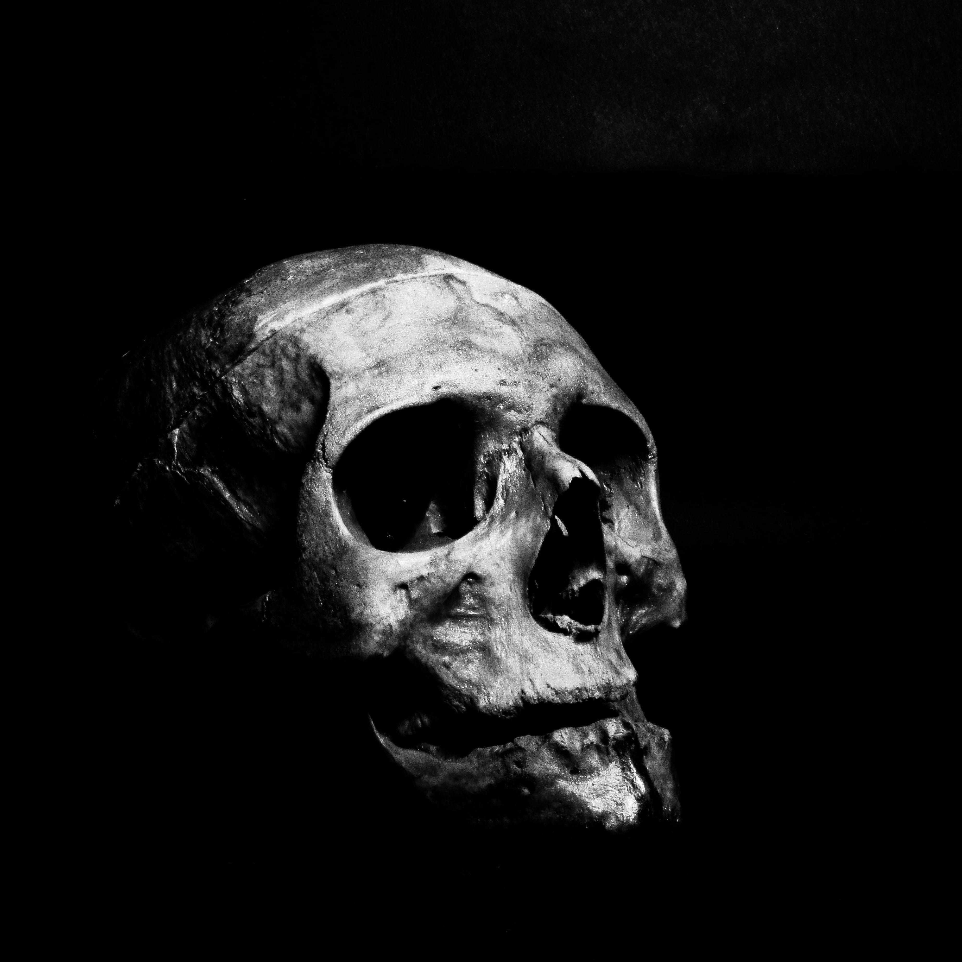 liborDa avatar