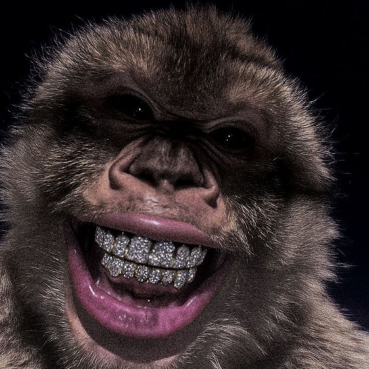 Bubbczyk