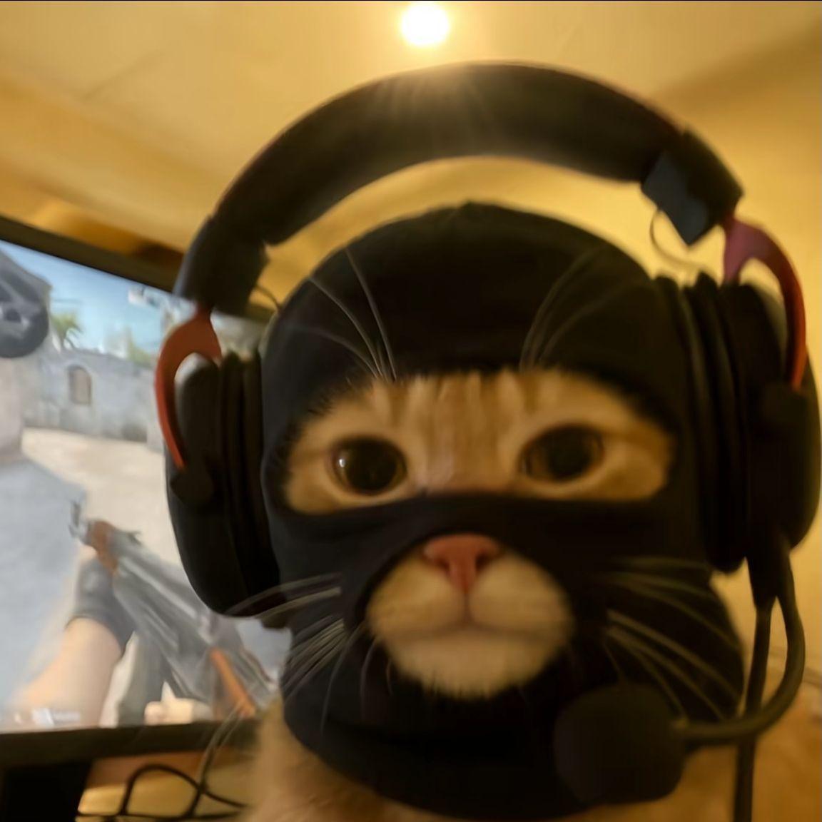 Nikoforx avatar