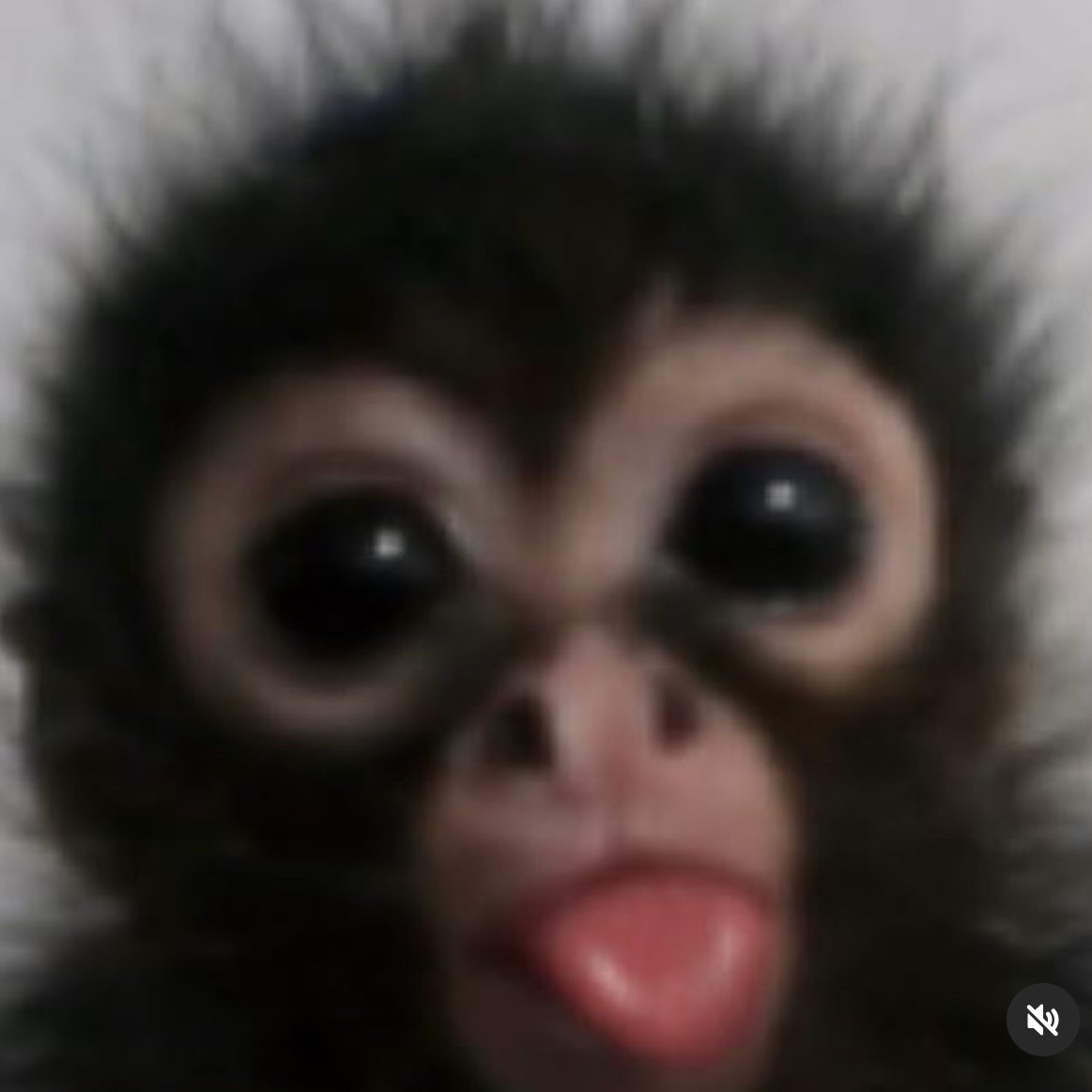 jja3