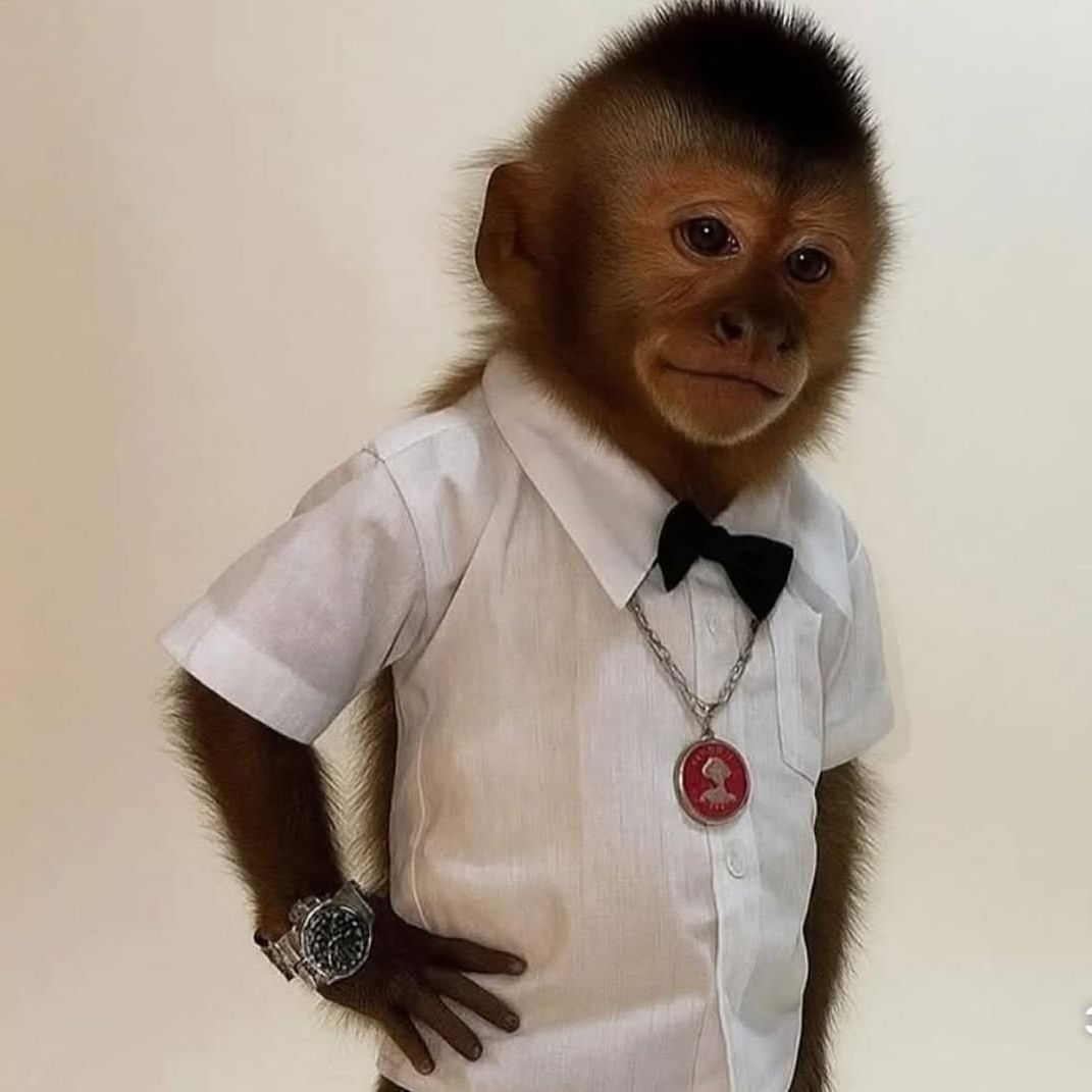 Milann avatar