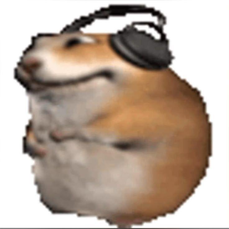 nskt avatar