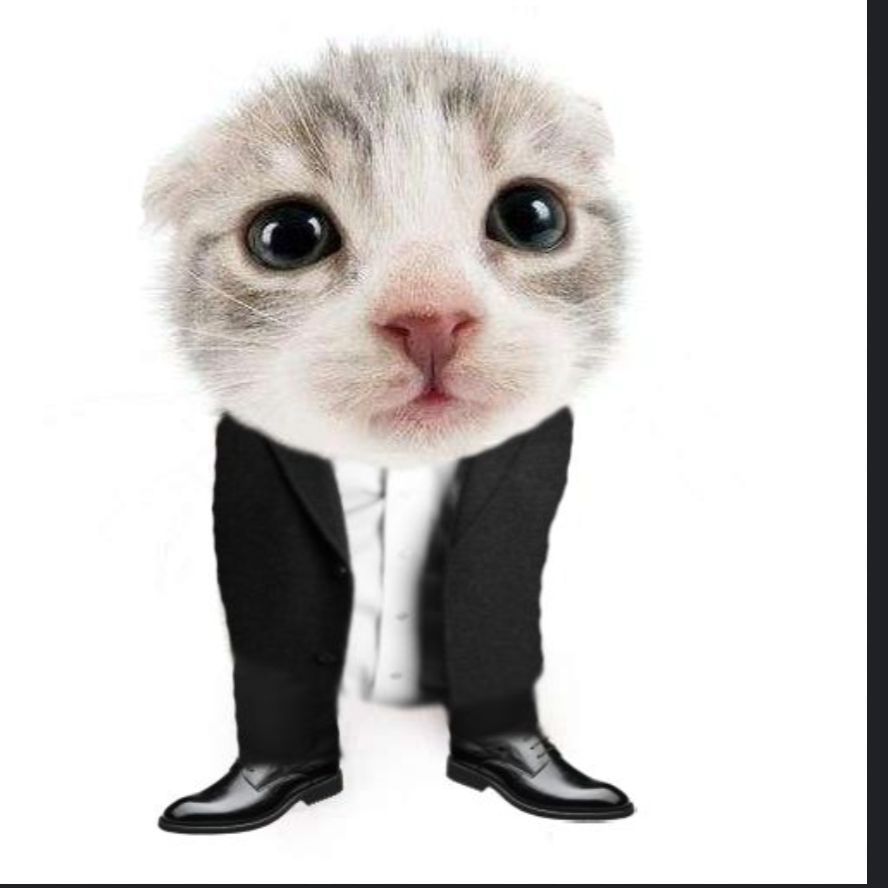 Mionsh007