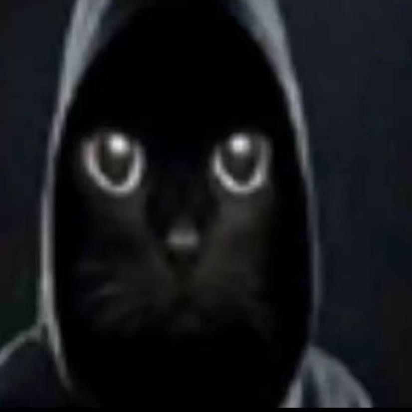 cxnvulsad avatar