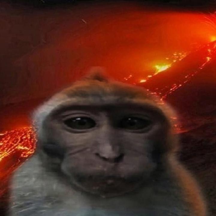 sawik3 avatar