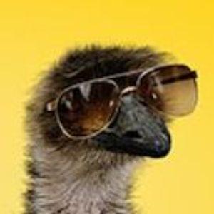 Agent_Emu avatar