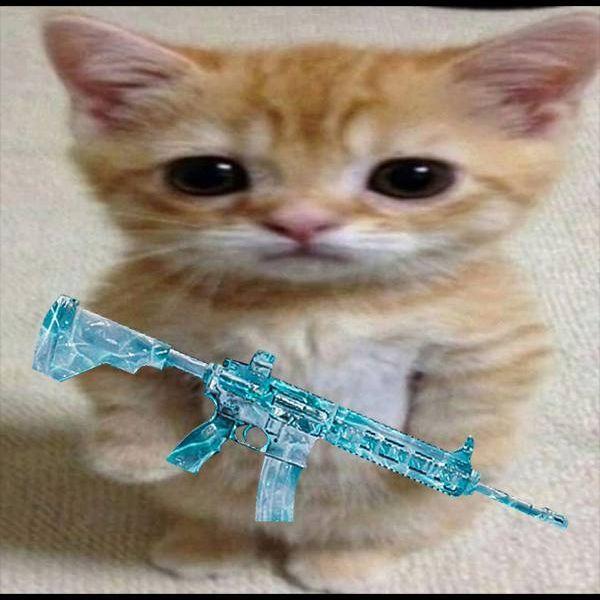 bkrv_broski avatar