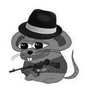 rAt__