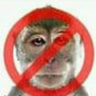 Player zalbask avatar
