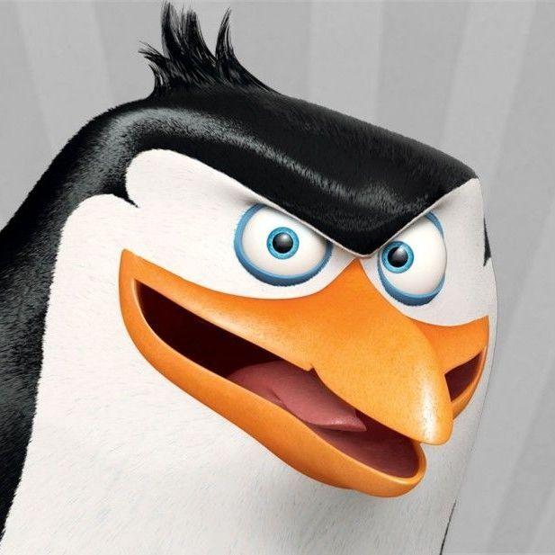 Birdeye avatar