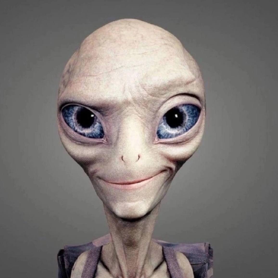 jafanz avatar