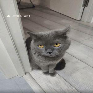undef_ avatar