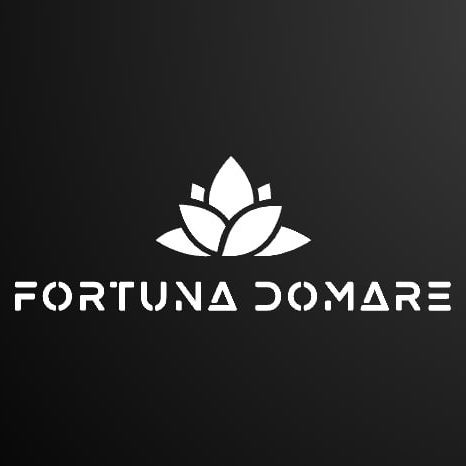 Fortuna Domare