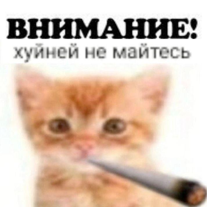 -m1l