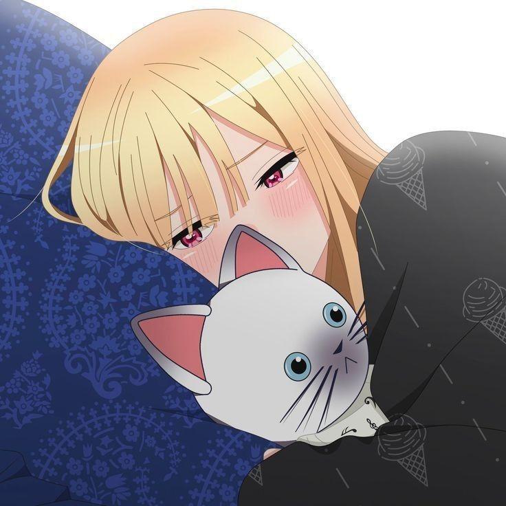 Dertoripa avatar