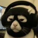 LucidA1 FACEIT avatar