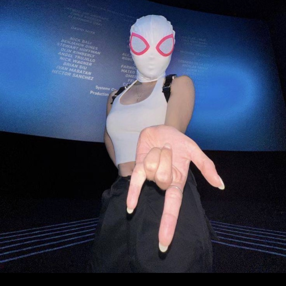HailRake69
