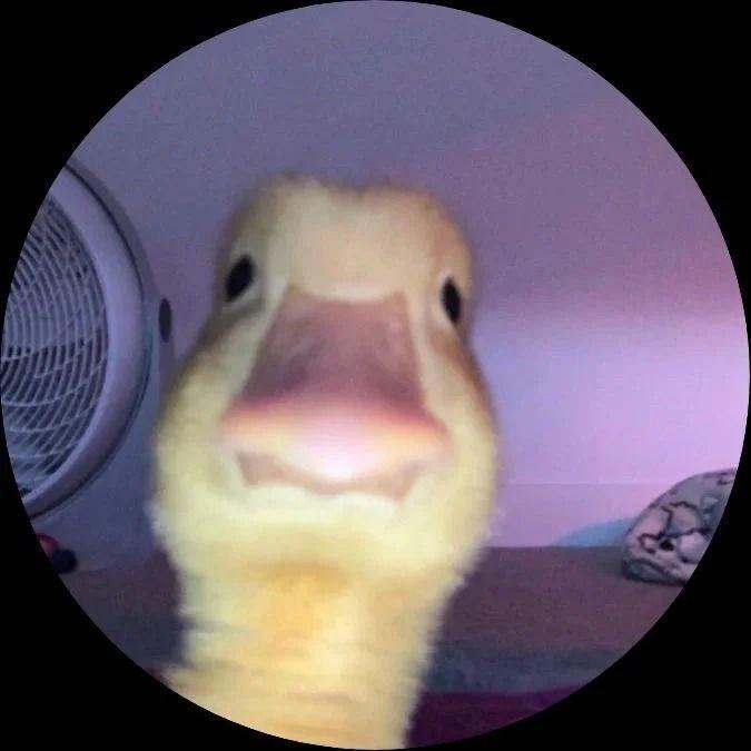 Jozpe avatar