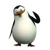 taciiu avatar