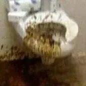 UnflushdMess avatar
