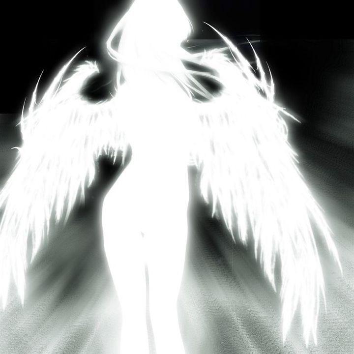 -ryuu avatar