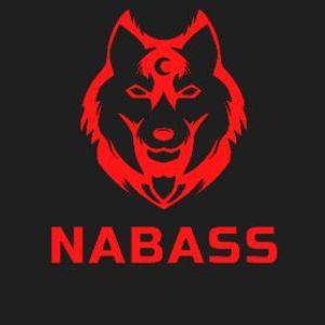 Player NaBaSs1 avatar
