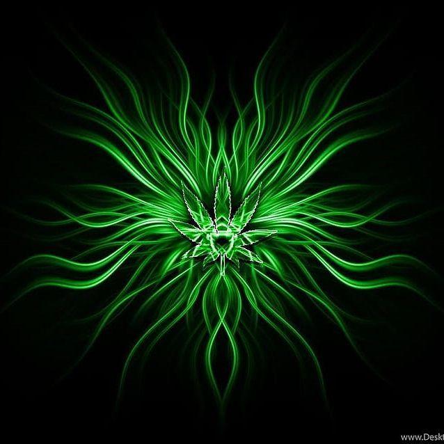 Naturalee avatar