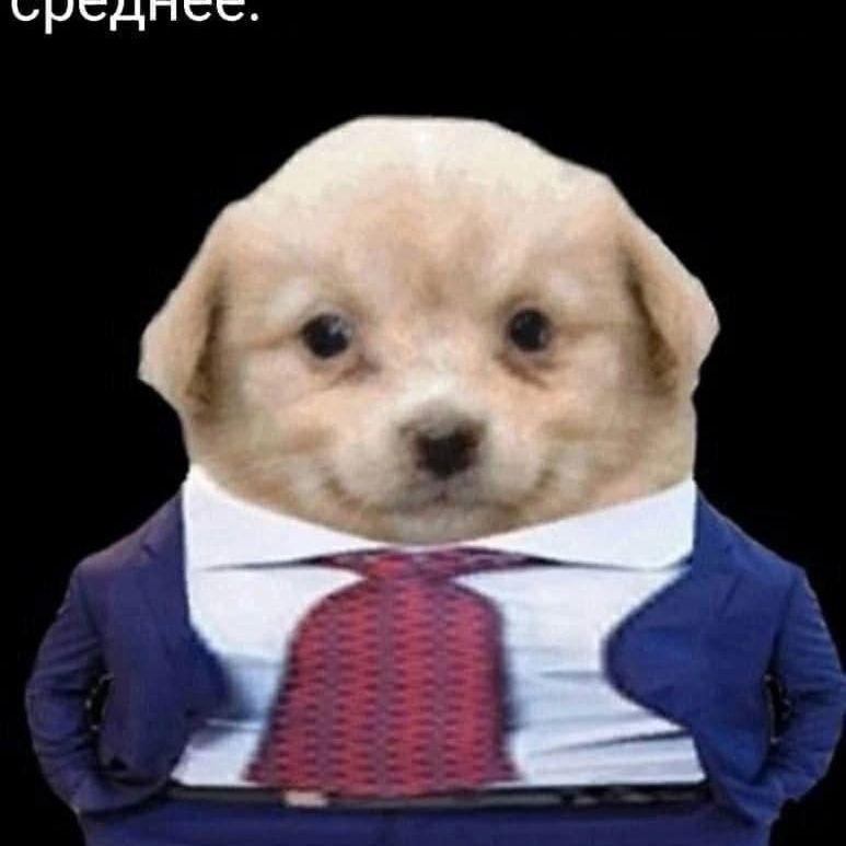 Lanz0_ avatar