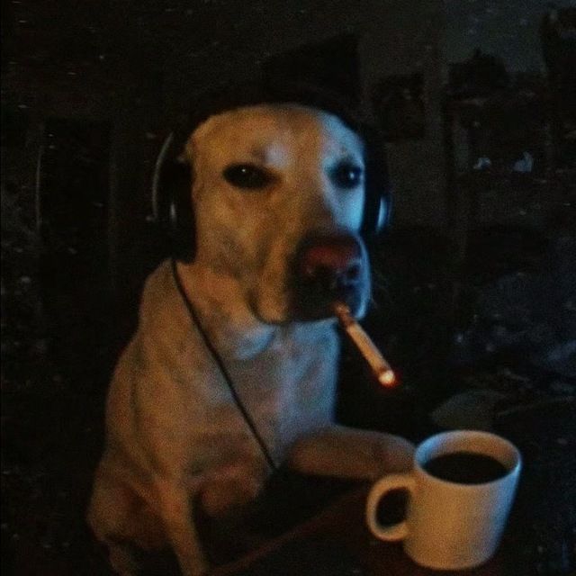koosaaaa