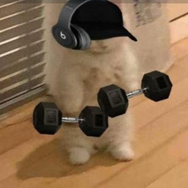 ZywOo95