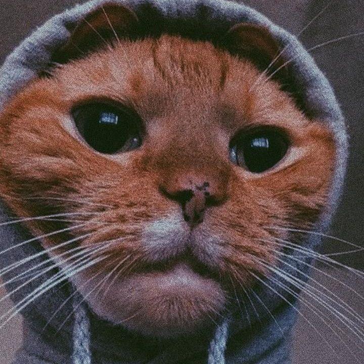 FrEnNzY_ avatar