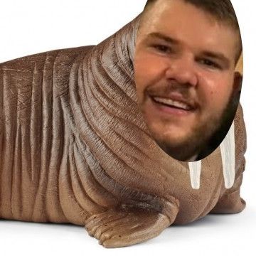 LABUDI