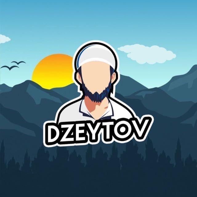 DzeytovMelhi avatar