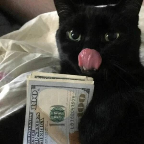RS_KA
