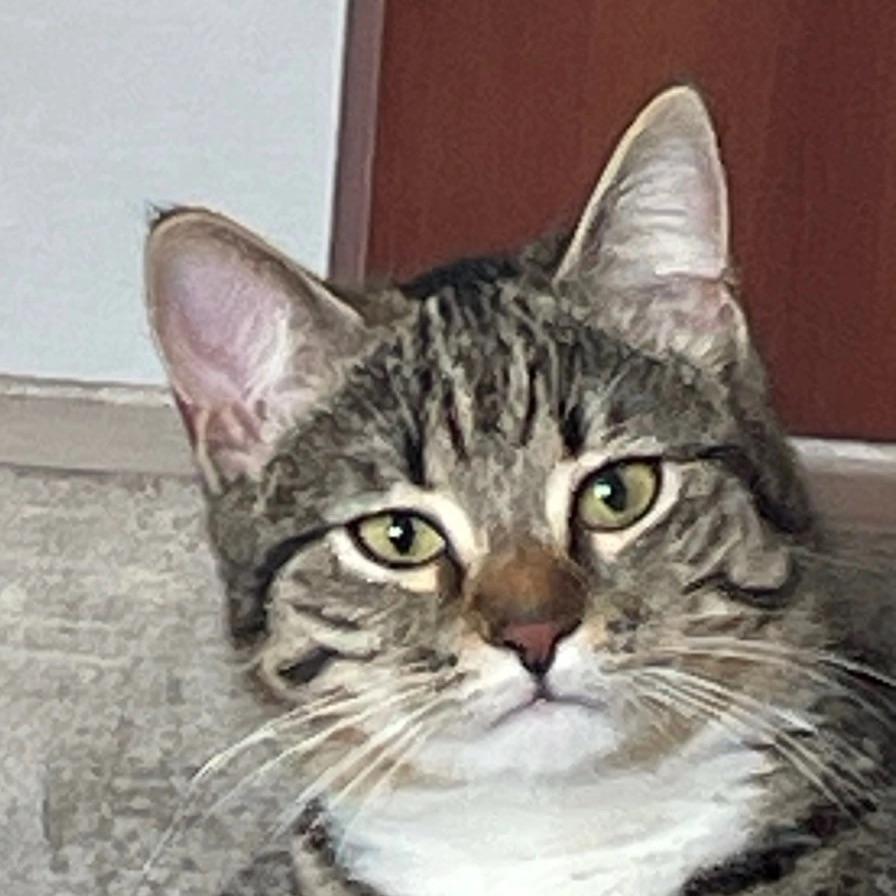mteosi avatar