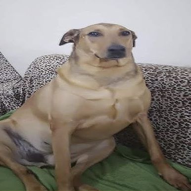 deni1m