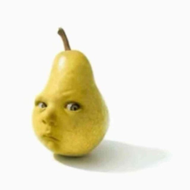 tolealflore avatar